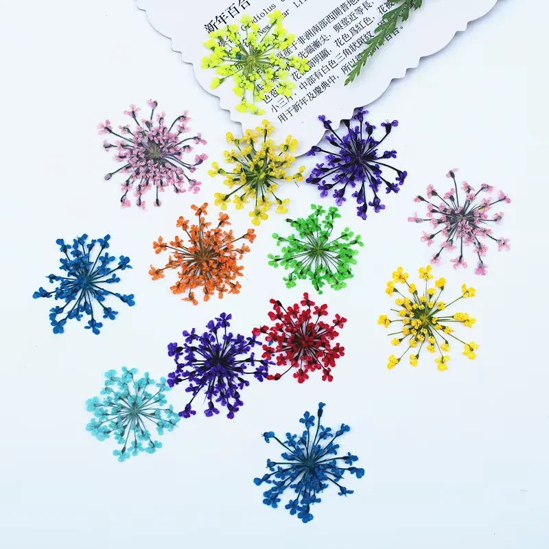 Colorful miniature flower-like sprays shown in seller photos