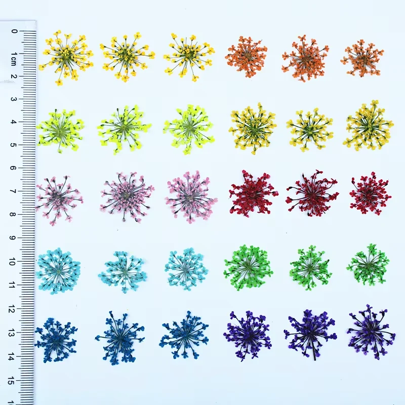 Seller photo showing rows of miniature flower sprays beside a ruler for scale